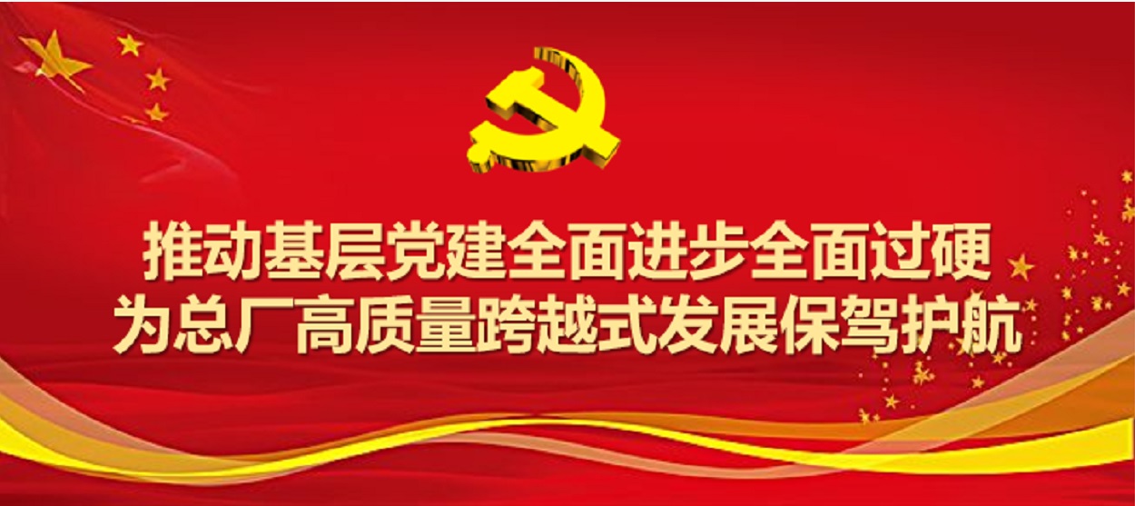 304am永利集团圆满实现2019年度党支部工作及党支部书记考评工作