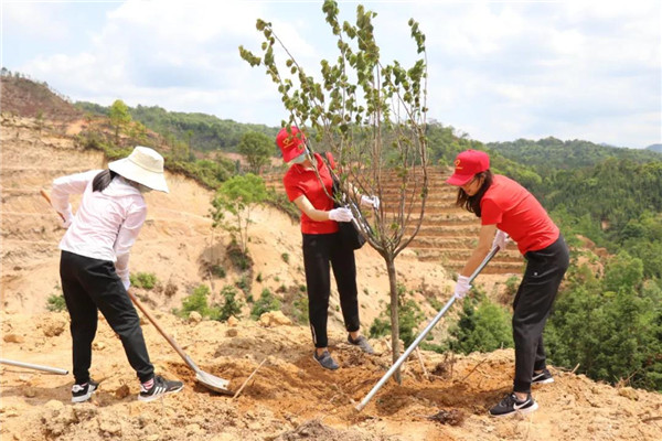 304am永利集团·(中国)有限公司官网