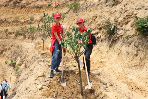 304am永利集团·(中国)有限公司官网