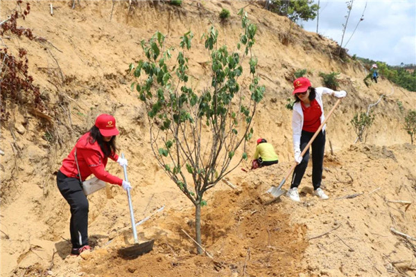 304am永利集团·(中国)有限公司官网
