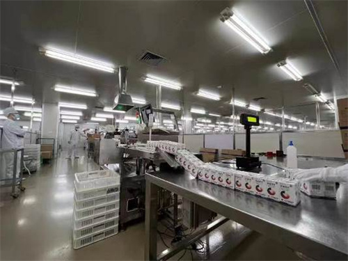 304am永利集团·(中国)有限公司官网