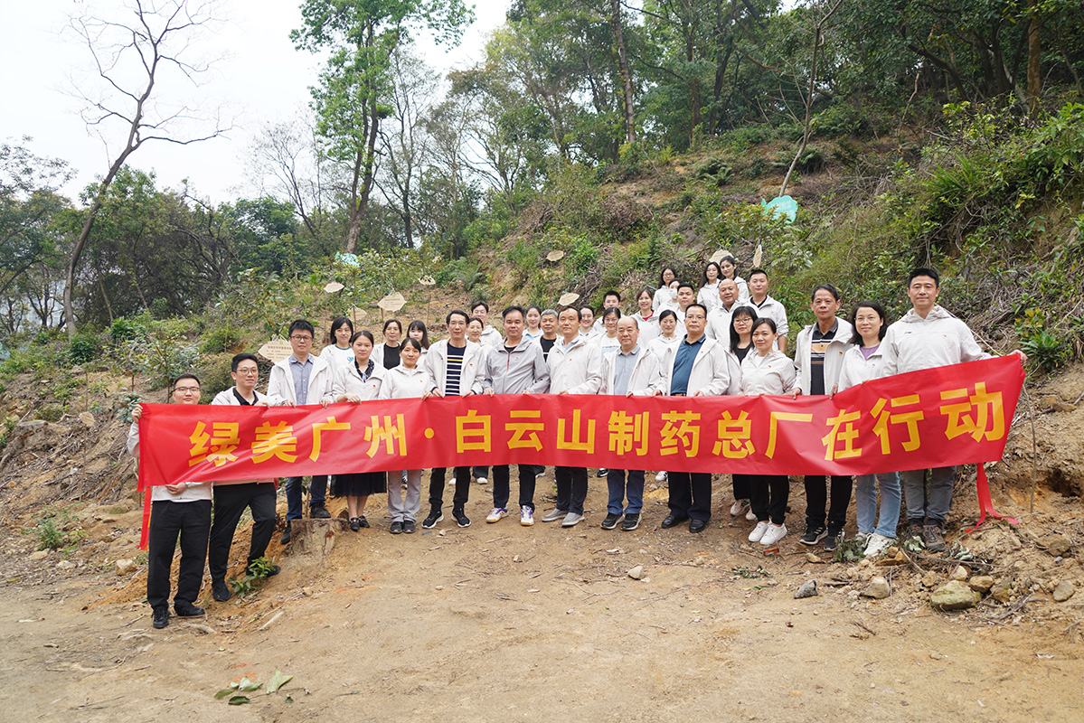 绿美广州·304am永利集团党员在行动